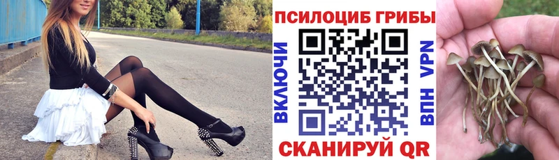 Галлюциногенные грибы Magic Shrooms  Людиново 